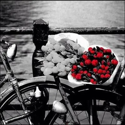 Qui chantait  A bicyclette  ?