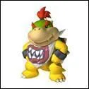 Maintenant Bowser Jr.