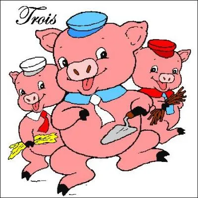 Pour terminer, un petit vrai-faux : Le cochon peut prendre un coup de soleil !