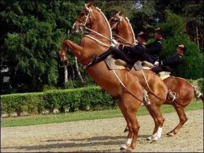 cole de cavalerie, chteau, vins !