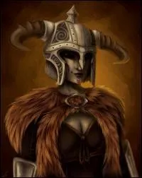 D'o sont originaires les Elfes Noirs ?