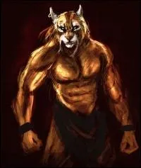 De quelle province sont originaires les Khajiits ?