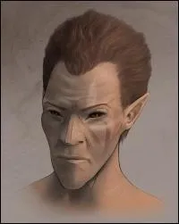 Quels sont les bonus de comptence des Elfes des bois ? (3 rponses)