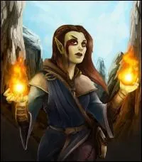 Quel est le point fort des Hauts Elfes ?