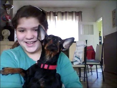 Qui adore les chats ?