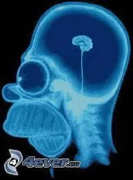 De quelle couleur est la peau d'Homer ?