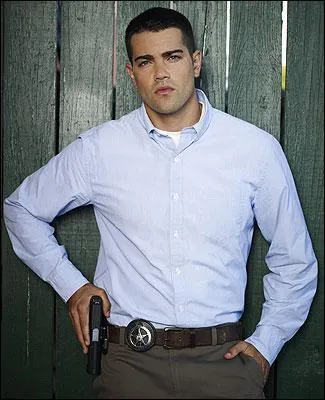Quel est le rle de Jesse Metcalfe dans la srie tlvise Chase ?