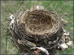 Le mot commence par : Chameau