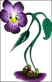 Terminons ce quiz avec la violette. Que dit-elle ?