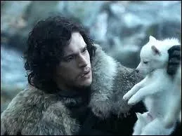 Comment s'appelle le loup de Jon Snow ?