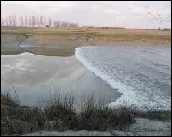 On dit qu'au Mont-Saint-Michel, la mare arrive  la vitesse d'un cheval au galop.