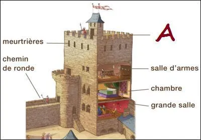 Question en image. Que reprsente  A  ?