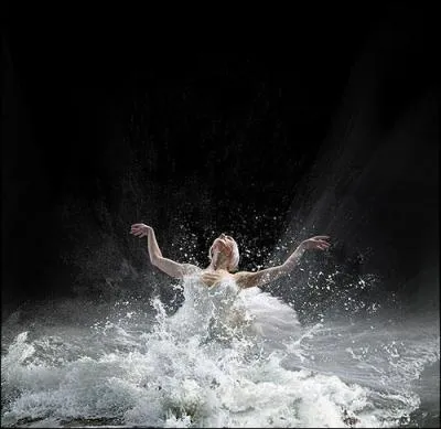 Quel est le ballet interprt ?