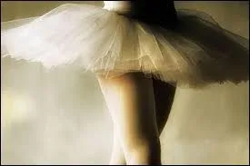 Quel est le nom de ce tutu ?