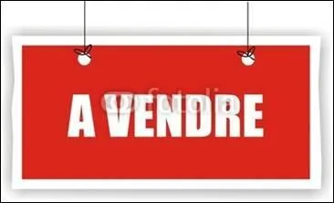 Ludovic a 65 ans. Il va vendre son ... de commerce et rve de passer sa retraite au soleil.
