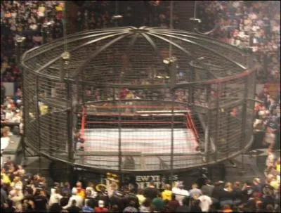 Quels sont les catcheurs a s'tre qualifis dans 'l'limination chamber' de smack down (2009)