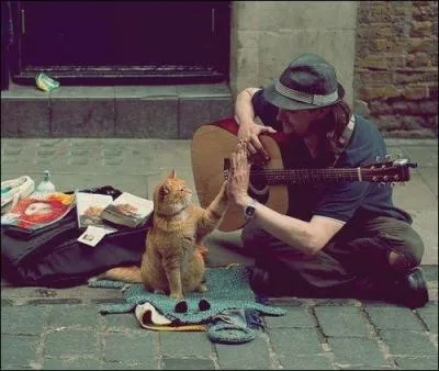 Quelle expression est synonyme de : Donner un signe de reconnaissance pour tre invit  entrer ?