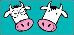 Quelle est cette marque ?