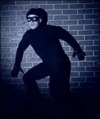 De quel pays vient ce proverbe : Tous les chats fouillent dans les poubelles. Mais seuls les chats imprudents tombent dedans.  ? (Indice : Dakar)