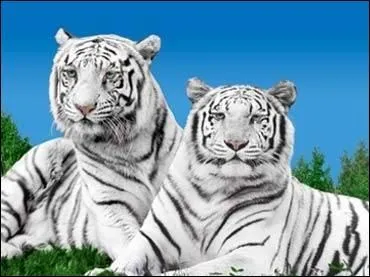 Lorraine, parc zoologique, centre thermal et touristique (Thermapolis et Villa Pompi) !