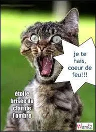 Quels crimes a commis Griffe de Tigre ?