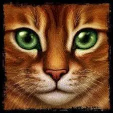 Quels sont les noms d'Etoile de Feu ?