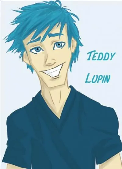 Victoire Weasley embrasse Teddy Lupin dans le tome 7. Mais au fait qui est-il ?