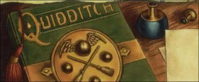 Qui a crit  Le Quidditch  travers les ges  ?