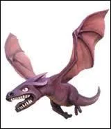 Quelle est la vie du dragon de niveau 1 ?