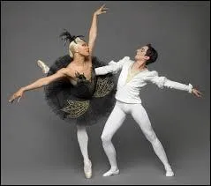 Comment s'appelle ce ballet ?