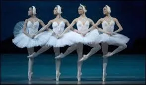 Quel est le nom de ce ballet ?