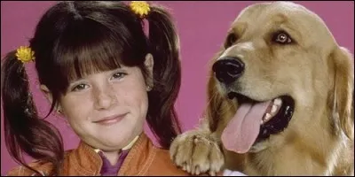 Comment s'appelait le chien de Punky Brewster dans la série du même nom ?