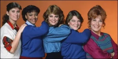 Cette série est un spin-off de la série "Arnold et Willy". Quel en est le titre ?