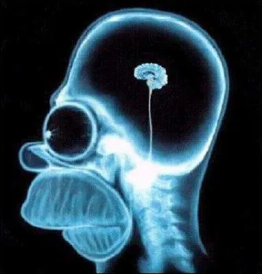 Dans un pisode, on dcouvre qu'un crayon de couleur rest coinc dans le cerveau d' Homer serait  l'origine de sa stupidit. De quelle couleur tait ce crayon ?