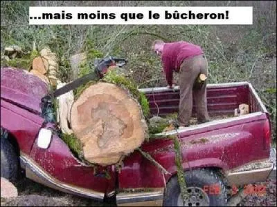 Ptisserie particulirement apprcie  Nol !