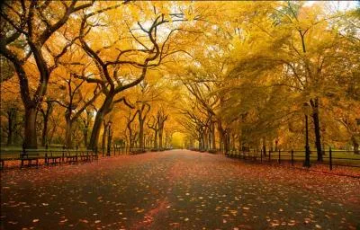 Titre de chanson ; Oh je voudrais tant que tu te souviennes - Cette chanson tait la tienne !