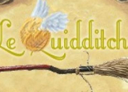 Quiz Autour des matches de Quidditch  Poudlard dans Harry Potter
