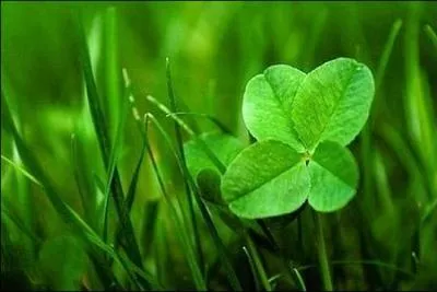 Un proverbe plus rcent associe la richesse  une autre ide. Laquelle ?