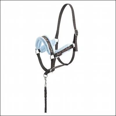 Comment s'appelle ce drle de truc ?