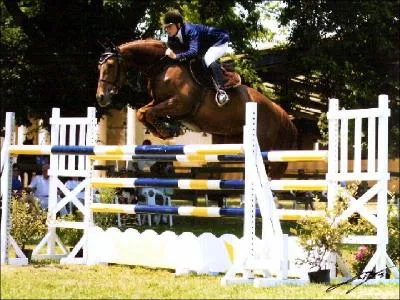 Quelle discipline est pratique ci-dessous ?