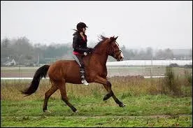 Qu'est-ce que le  galop  ?