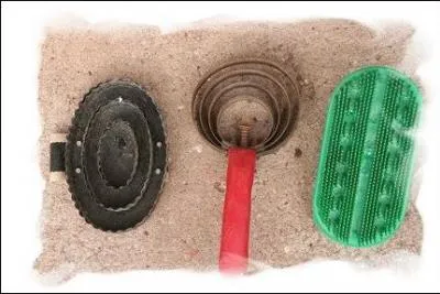 Combien y a-t-il de sortes d'étrilles ?