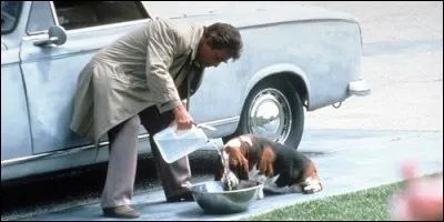 Quelle est la race du chien du célèbre lieutenant de police Columbo dans la série du même nom ?