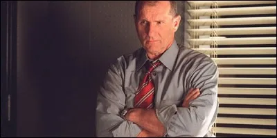 Comment s'appelle le personnage, joué par Ed O'Neill, dans "Dragnet" ?