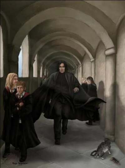 Qui est Snape ?
