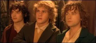 Qui est l'insparable ami de Merry ?