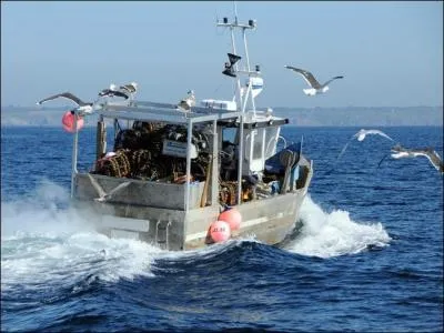 Mystrieux derrire ses lunettes extravagantes, qui a chant 'je te donnerai tous les bateaux, tous les oiseaux, tous les soleils, toutes les roses, toutes les choses qui t'merveillent, petite fille de ma rue' en 1969 ? (Clip)