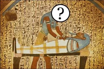 Anubis est un dieu funraire de l'Egypte ancienne, matre des ncropoles et patron des embaumeurs. Anubis tait reprsent avec une tte :
