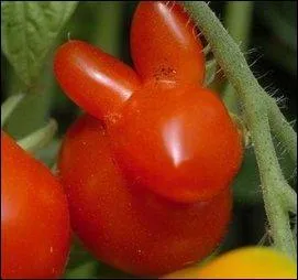 Trouvez la rponse ... en attendant !