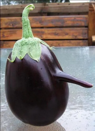 Il tait une fois un journaliste et crivain italien, Carlo Collodi, qui devrait vous inspirer une chanson de Pierre Bachelet !